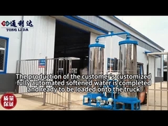 Roestvrij staal 2 tank waterverzachter systeem Continu Dual tank waterverzachter